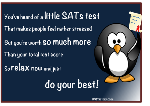 Y6 SATS Display Poster