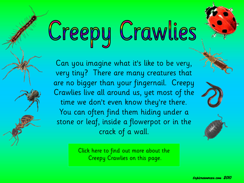 Minibeasts - Creepy Crawlies Topic