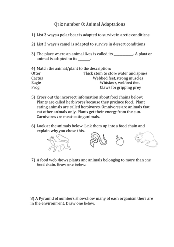 biology animal adaptations by greenapl uk teaching resources tes