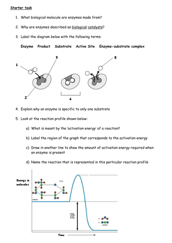 Enzymes basic facts