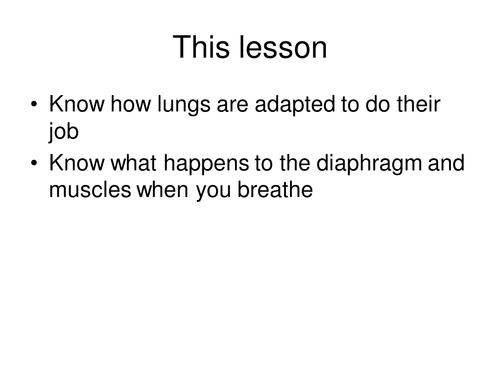 Lungs and breathing 