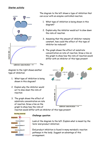 Enzyme inhibitors starter/plenary