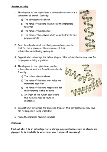 Polysaccharides review