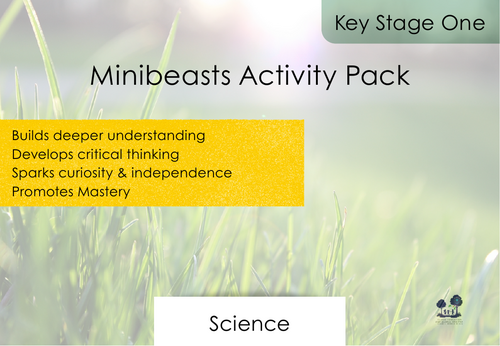 Minibeasts Activity Pack