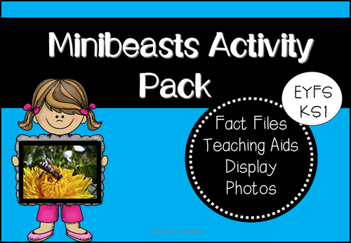 Minibeasts Activity Pack