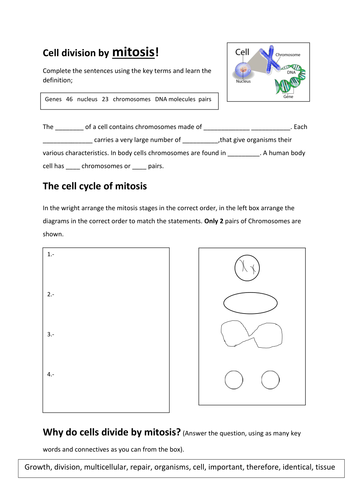 Mitosis, 2015 New AQA Biology 8461