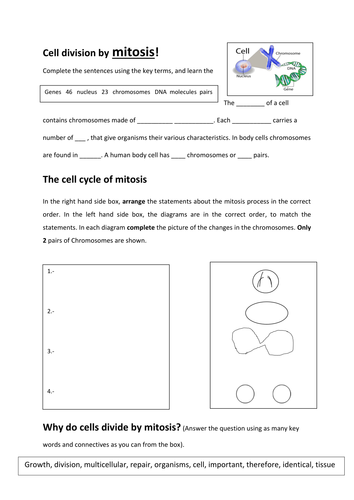 Cell division by mitosis AQA Biology New 8461
