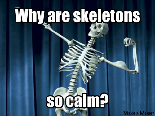 AQA GCSE PE 2016 Spec - Skeleton Functions
