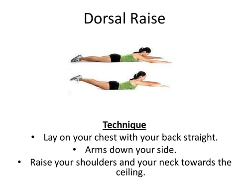 SAQ Fitness Cards and Resources