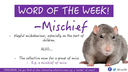 Word of the Week! Including Differentiated Independent Activities.