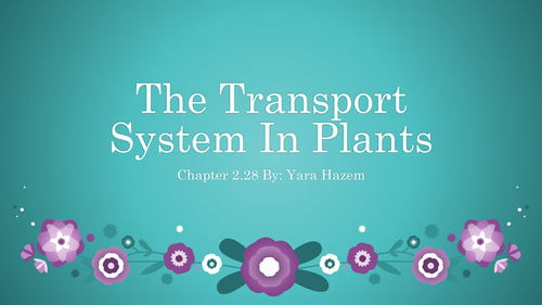 Transpiration: water movement through the plant