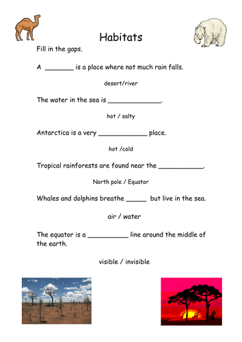 ks1 animal worksheet kabir KS3 Resources  Teaching Musarat  starter Habitats by