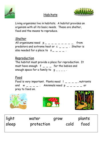 Habitats Starter Ks3 Teaching Resources