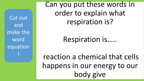 Anaerobic Respiration for SEN