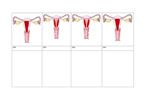 Hormonal control