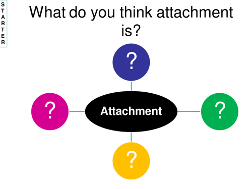 AQA 2015 AS - Introduction to attachment - Lesson 1