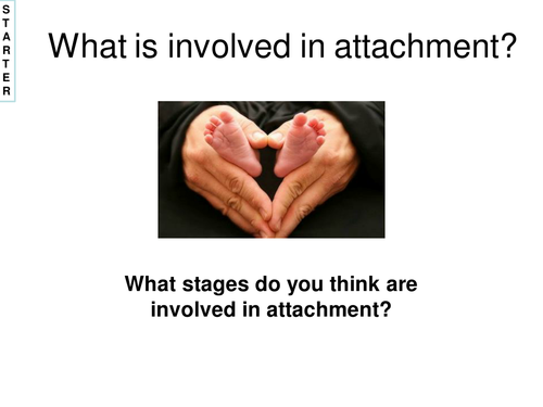 AQA 2015 AS - Schaffer and Emerson stages of attachment - Lesson 2 attachment