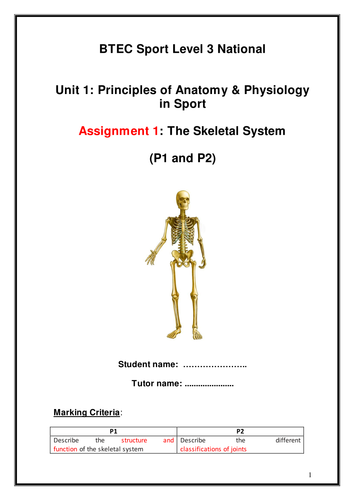 btec sport level 3 unit 4 assignment 1