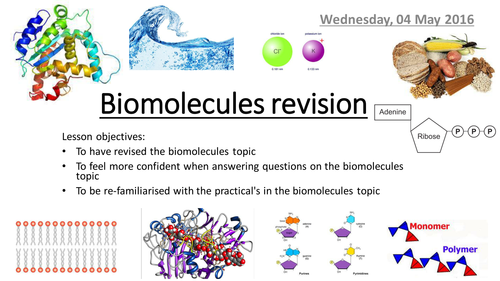 AQA AS Biology (new spec) Bio molecules revision circus