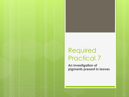 Required Practical 7 - chromatography of leaf pigments