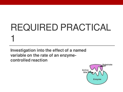 Required Practical 1 - Enzyme action 