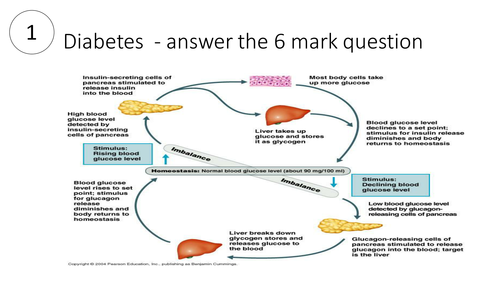 Edexcel B1 Biology Topic 2 and 3 revision circus