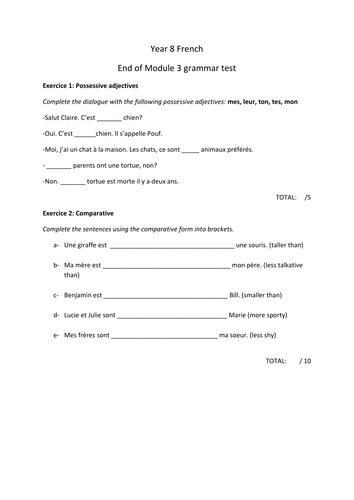 Metro 2 Module 3 grammar assessment
