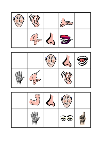 KS3 Partes del cuerpo Spanish