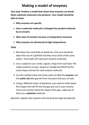 Making a model of enzymes | Teaching Resources