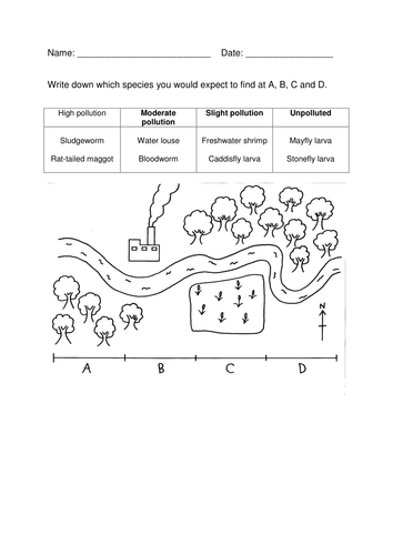Water pollution indicator species