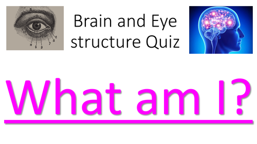 OCR Human Biology Structure of the Brain and Eye revision
