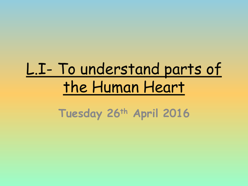 The Human Heart- Year 5