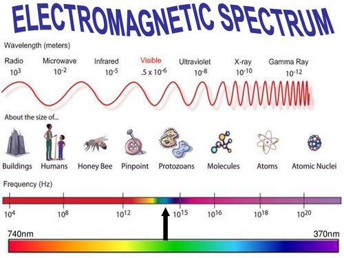 Electromagnetic Spectrum Worksheet / Marketplace activity, radiation