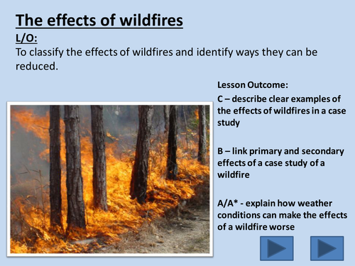 Managing wildfires lesson with tasks 