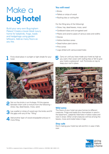 How to:  Make a Bug Hotel