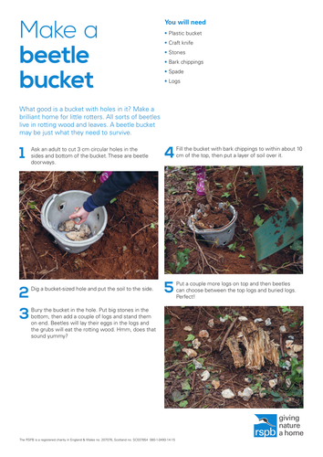 How to: Make a Beetle Bucket