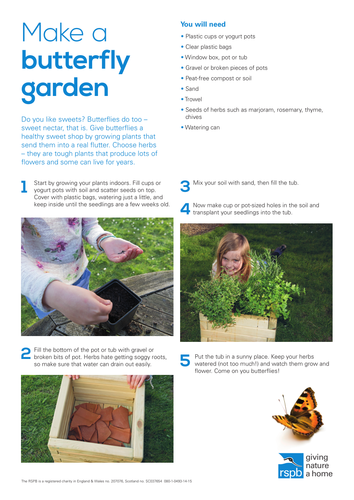 How to: Make a Butterfly Garden