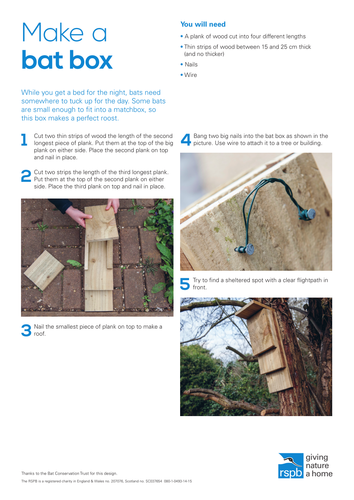 How to: Make a Bat Box