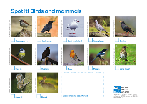 Spot It: Birds and Mammals