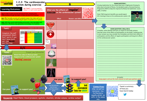 Edexcel GCSE PE - Learning Mat - Cardiovascular System