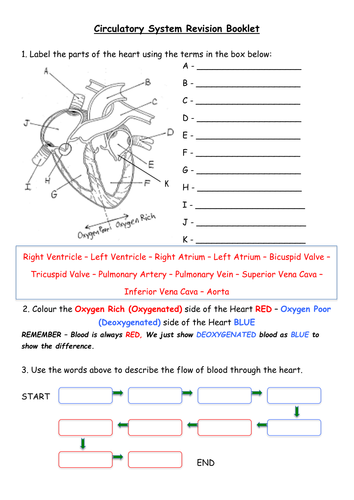 Heart, Blood Vessels, CHD, Blood revision booklet by rossydunn