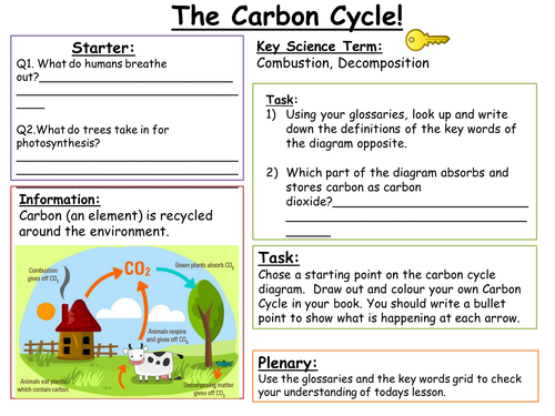 SEN Key Stage 3: Carbon Cycle