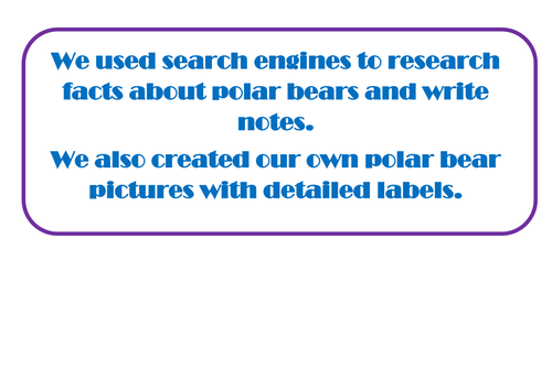 Polar bear topic work