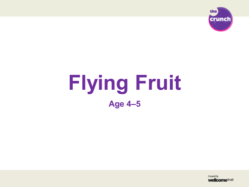 Flying Fruit Power Point