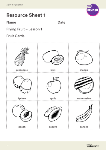 Flying Fruit Resource Sheet