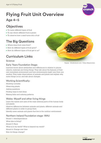 Flying Fruit Teacher Notes