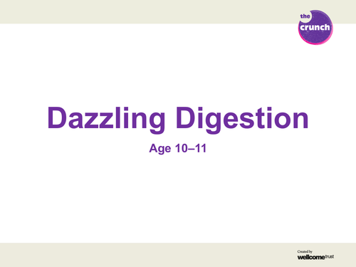 Dazzling Digestion PowerPoint