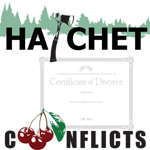 HATCHET Conflict Graphic Organizer - 6 Types of Conflict