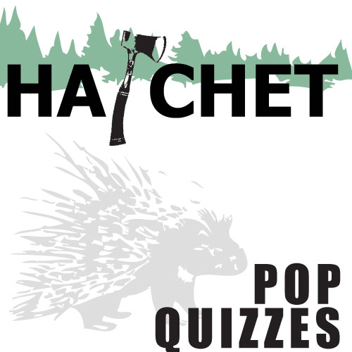 HATCHET 14 Pop Quizzes Bundle (by Gary Paulsen)