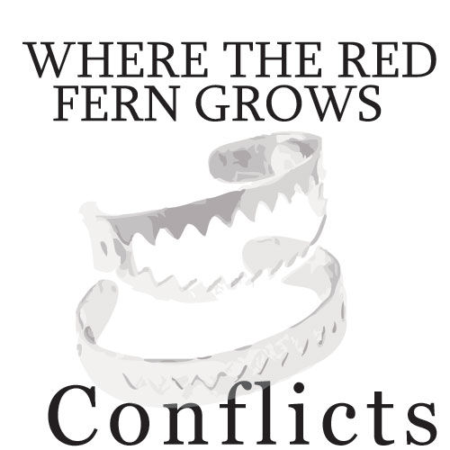 WHERE THE RED FERN GROWS Conflict Graphic Organizer - 6 Types of Conflict
